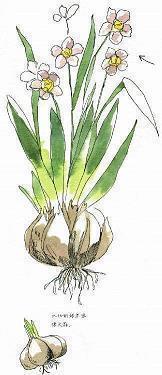 2021过大年祝福语简短文案