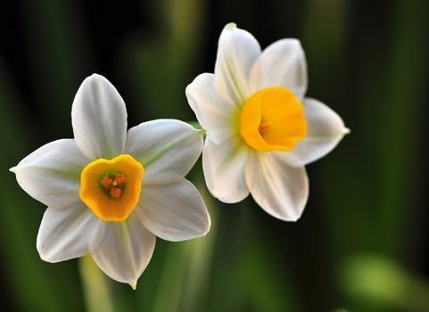 2021独自跨年的伤感说说 2021一个人跨年朋友圈句子文案伤感