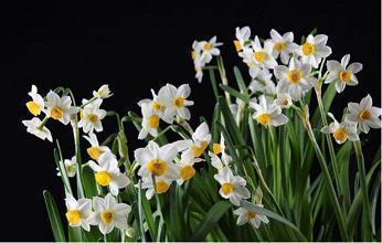 对父亲感到失望的句子