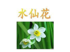 写十二月的励志文案 关于最后一个月心情说说(精选29句)