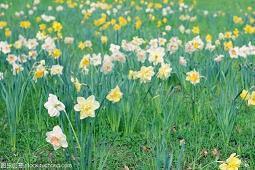 关于仰望天空的句子 抬头仰望天空的一句话