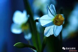 形容对自己员工失望和心凉的句子