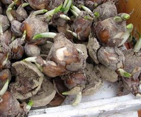 2020中秋节给员工的祝福语