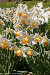 2020圣诞节平安夜朋友圈文案