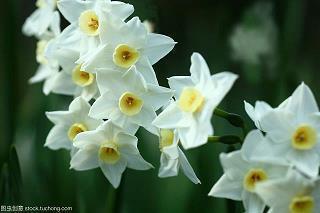 一些蕴含哲理的句子 有些事，轻轻放下，未必不是轻松