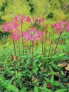 生命精彩广告语大全