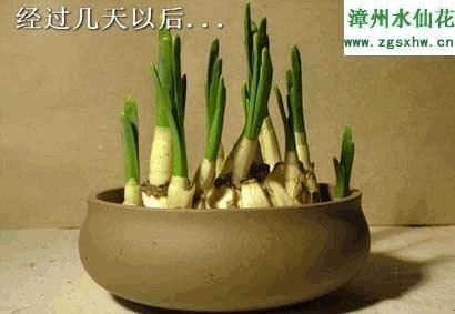 跷蹊