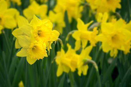 2020年万圣节狂欢祝福语送朋友