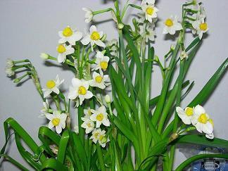 2021年惊蛰快乐祝福语文案句子