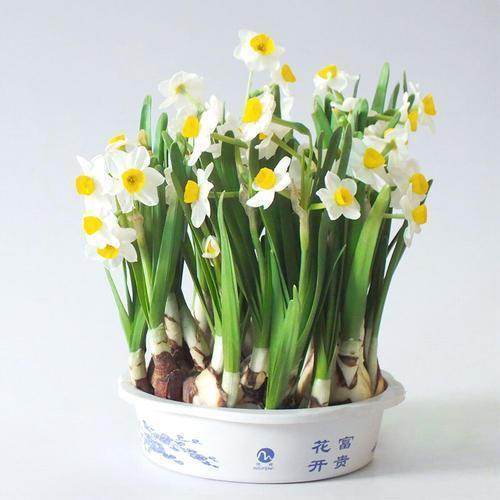 2020七夕情人节微信祝福语大全