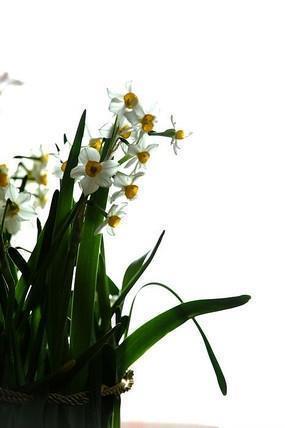 2021开学寄语唯美句子(精选59条)