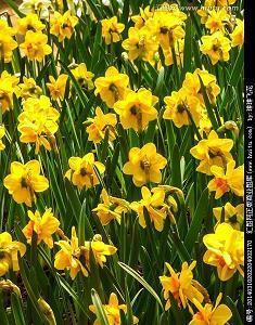 感叹物是人非的说说 物是人非，人走茶凉