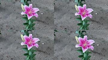 形容工作态度好的经典总结句子 工作态度和责任心语录