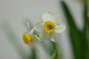 奋斗励志的句子简短 励志短句致自己奋斗(精选35句)