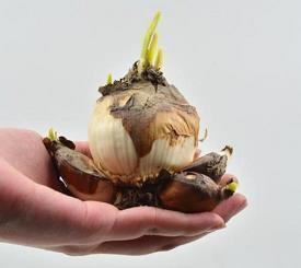 2021冬天的第一杯奶茶祝福语 收到冬天第一杯奶茶的说说