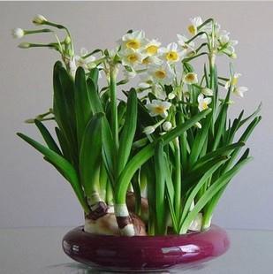 搞笑哲理说说(49句)