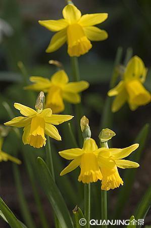 2021最新教师节祝福语(精选97条)