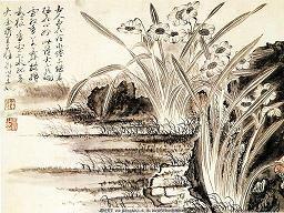 全护