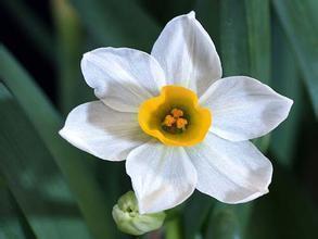 2020万圣节朋友圈说说文案