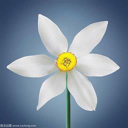 形容心情难受的句子汇编78句