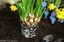 思念是一种病特别思念一个人的心情说说 想念一个人到撕心裂肺