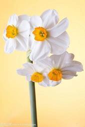 2021年中秋节祝福语优美句子文案贺词(精选59条)