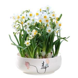 2021五一祝福语发朋友圈的句子