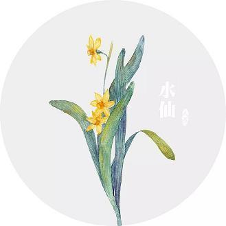 掀髯