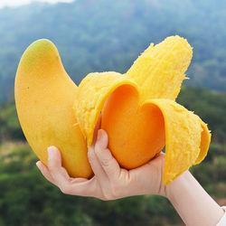 企至
