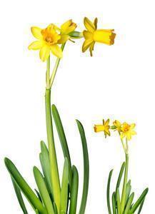 七夕节对女朋友表白的情话(精选50句)