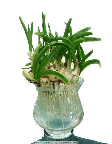 2020最新夏至祝福语