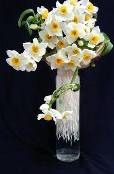 有关闪电的句子 关于闪电的说说(精选38句)