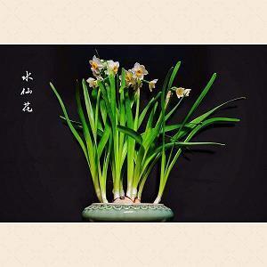 关于宿舍的说说