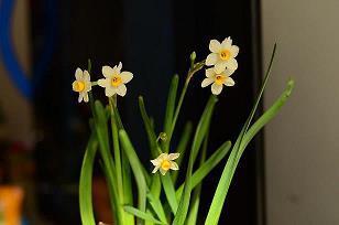 qq空间留言诗意句子