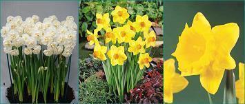 2020春节微信朋友圈祝福语