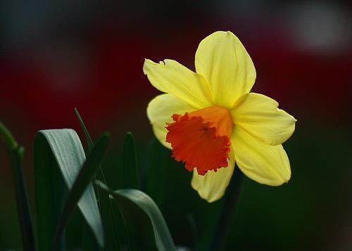 2021年腊八节朋友圈微信祝福语