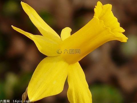 微信置顶说说个性句子 朋友圈文案温柔成熟