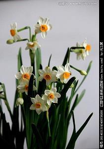 有深度有品位说到心坎的句子 简短但很有哲理的句子