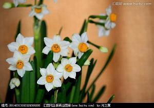 春天来了的优美句子_表达春天的朋友圈说说(精选52句)