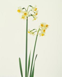 元旦快乐祝福语发朋友圈