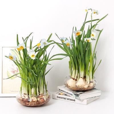 唯美早安心语简短句子 快乐早安简短句子56句