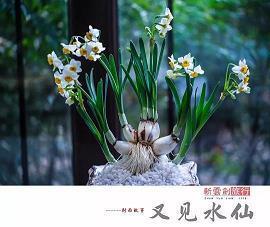 很丧很绝望的句子