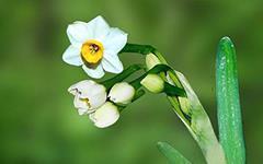 关于婚后心累的说说32句