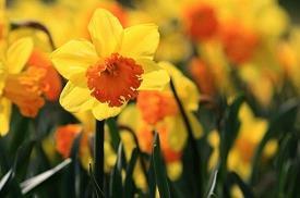 2021疫情期间注意防护宣传语(精选82条)