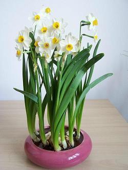 城市的夜晚霓虹灯句子 描写城市夜景的句子(精选70句)