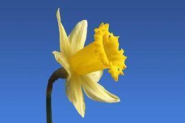 2020给合作公司的周年庆贺词