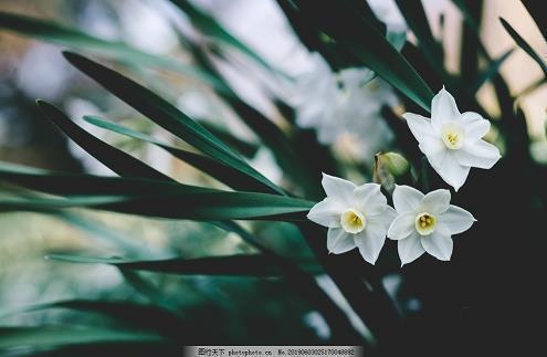 关于心情开心的句子