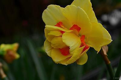 开心的精辟短句大全