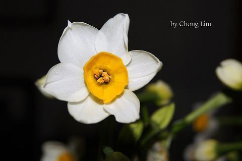 【推荐】适合六一儿童节发的句子文案最新推荐86句