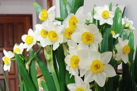 冬至暖心文案说说简短(精选93句)